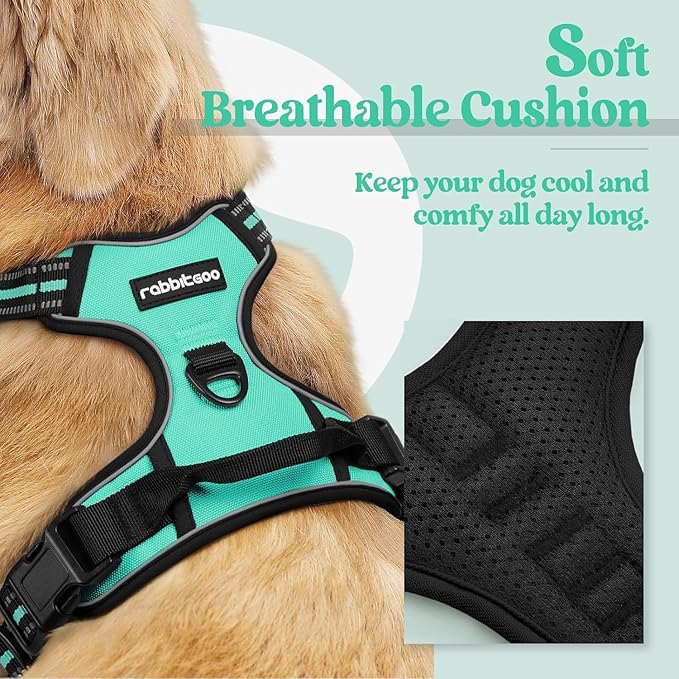 rabbitgoo Dog Harness No Pull with 2 Leash Clips, Adjustable Soft Padded, Reflective Oxford No Choke Pet Vest with Easy Control Handle for Large Dogs, Turquoise, XL rabbitgoo