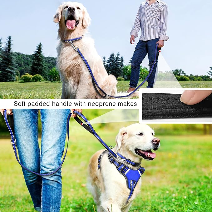 WINSEE Pet Harness Collar and Leash Set, All-in-one Reflective Dog Harness No Pull with Adjustable Buckles for Puppies, Small, Medium, Large, and Extra-Large Dogs (Large, Dark Blue) - PAWPICO