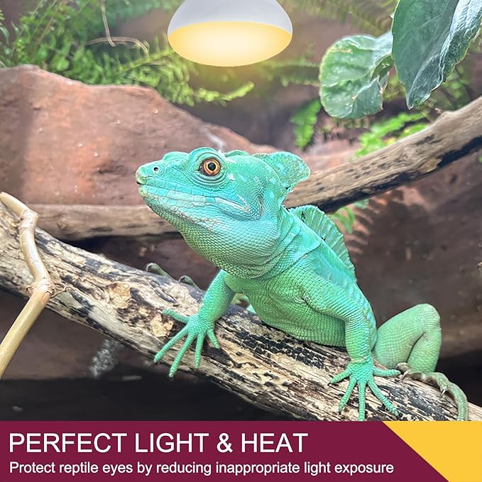 150W Reptile Heat Lamp Bulb,Basking Spot Lamp Bulb for Reptiles & Amphibians,Reptile Daylight Heat Bulb for Bearded Dragon, Lizard, Turtle REPTIHOME