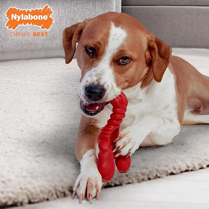 Nylabone Power Chew Lobster Dog Chew Toy, Cute Dog Toys for Aggressive Chewers, Filet Mignon Flavor, X-Large/Souper (1 Count) - PAWPICO