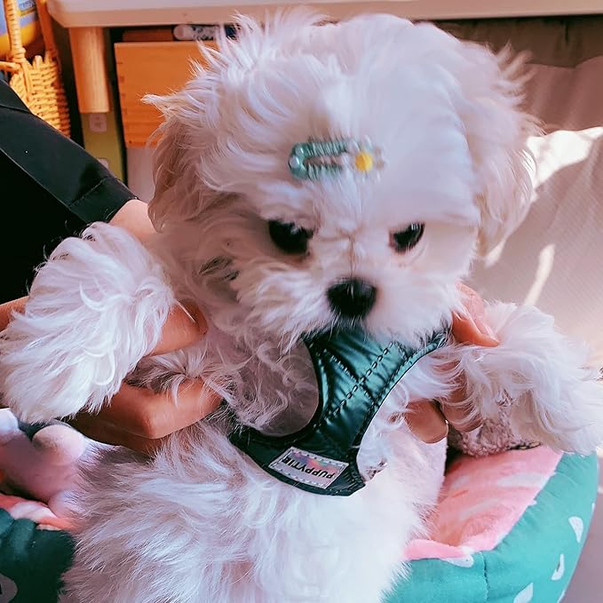 Puppytie No Pull Dog Harness with Multifunction Dog Leash,Soft Adjustable No Choke Escape Proof Pet Harness Vest for Medium Dogs,Glossy Dark Green,M Puppytie