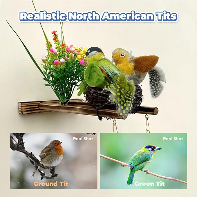 LEWISER Cat Toys Chirping Tit 2 Pcs with Catnip SilverVine, Suitable for Cat Wand Toys, Simulation Bird Design, Interactive Toys for Indoor Kitty Kitten Exercise, Green and Ground - PAWPICO