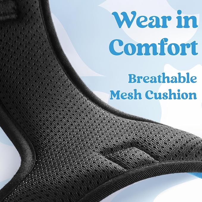 rabbitgoo Dog Harness for Large, No Pull Pet Harness with 3 Buckles, Adjustable Soft Padded Pooch Vest with Instant Control Handle, Easy Walking Reflective Pet Vest for Extra Large Dogs, Sky Blue, XL rabbitgoo