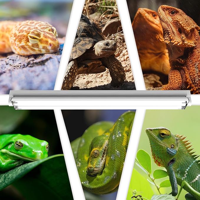 Hypool T5 UVB Reptile Light Fixture Including 2 Pack Bulbs HO 24W Reptile Amphibian Habitat Lighting Combo Kit with 22'' 10.0 UVB UVA Bulb Desert Pet Habitat Lamp (24W-Fixture-Combo) Hypool