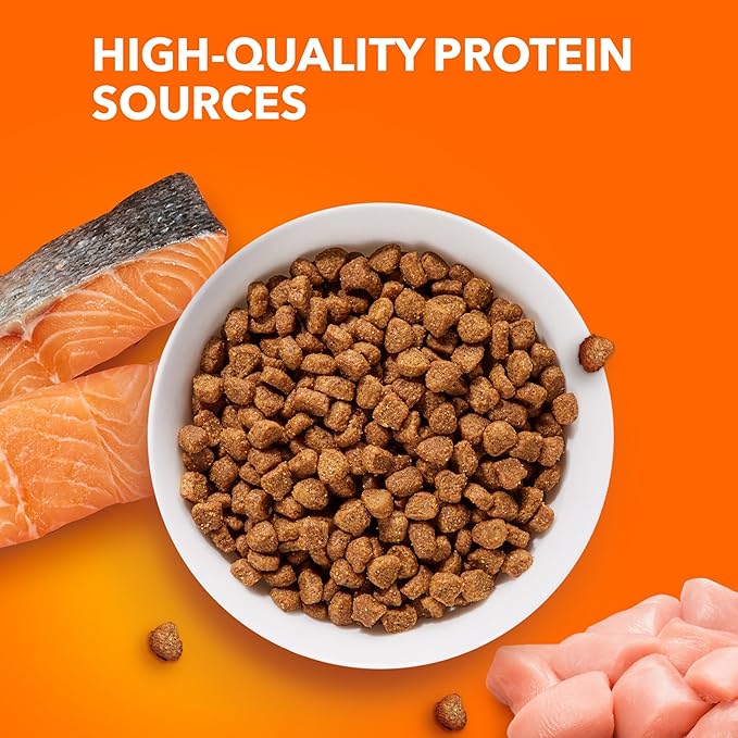 IAMS Proactive Health Adult Healthy Dry Cat Food with Salmon, 7 lb. Bag - PAWPICO