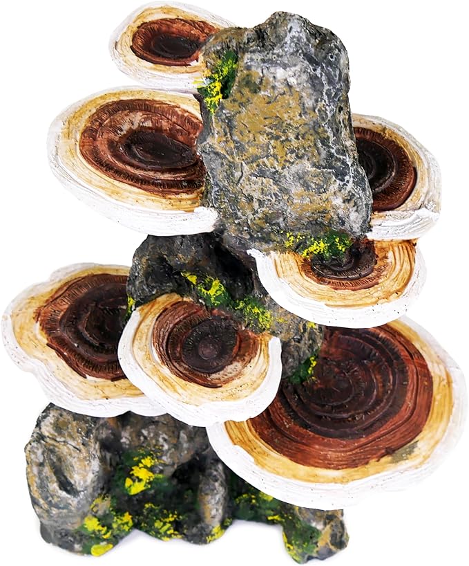 Penn-Plax Deco-Replicas Tree Trunk with Shelf Mushrooms Aquarium Decoration – Safe for Freshwater and Saltwater Fish Tanks – Medium Penn-Plax