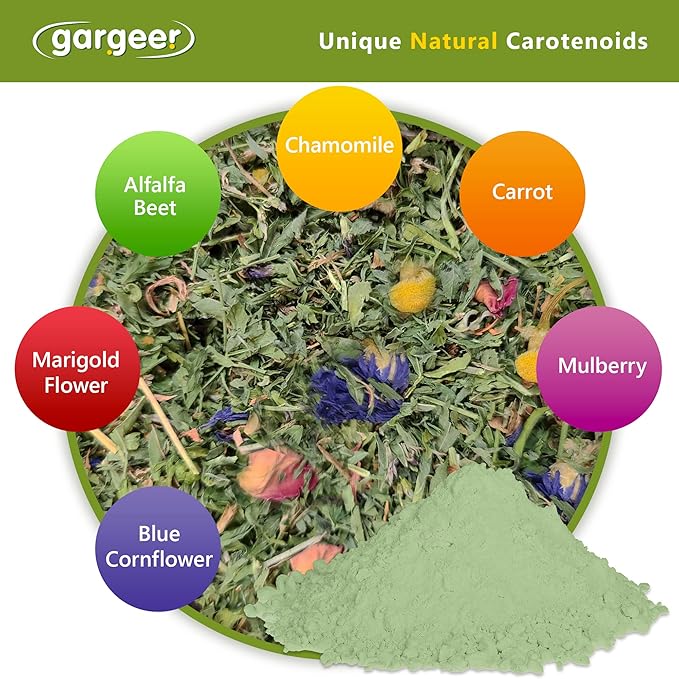 All Reptiles Color Enhancer. Magnify Vibrant Colors, and Boost Health with Much Needed Minerals and Vitamins. 2oz Pouch for Weekly Use. Enjoy! Gargeer
