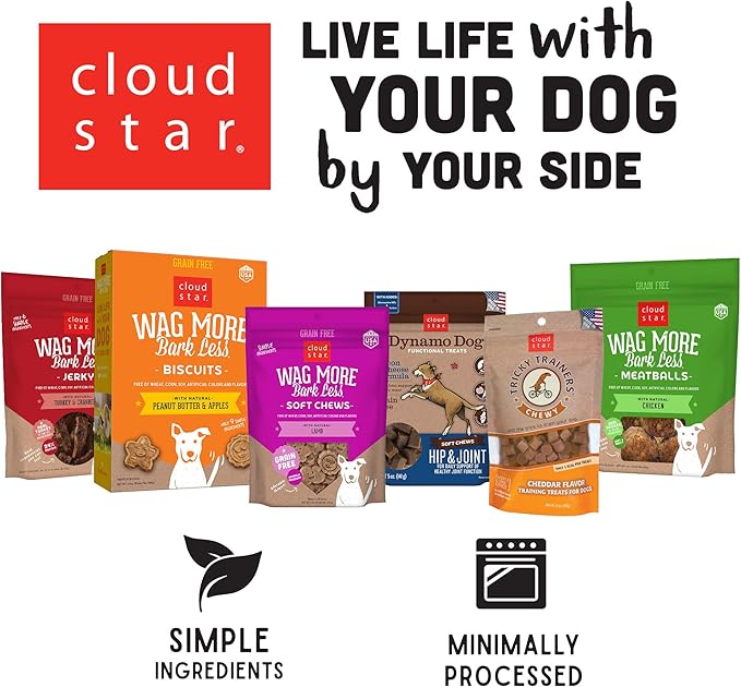 Cloud Star Wag More Bark Less Crunchy Grain Free Dog Treats, Cheddar Cheese, 14 oz. Box - PAWPICO