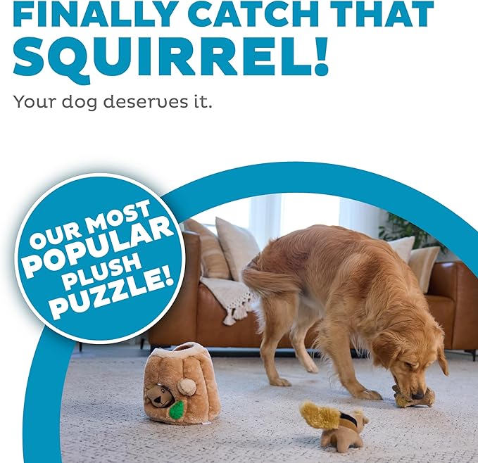Outward Hound Hide A Squirrel Plush Dog Toy Puzzle, Large - PAWPICO