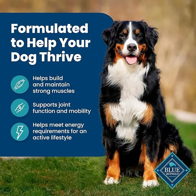 Blue Buffalo Life Protection Formula Adult Dry Dog Food, Helps Build and Maintain Strong Muscles, Made with Natural Ingredients, Fish & Brown Rice Recipe, 15-lb Bag - PAWPICO