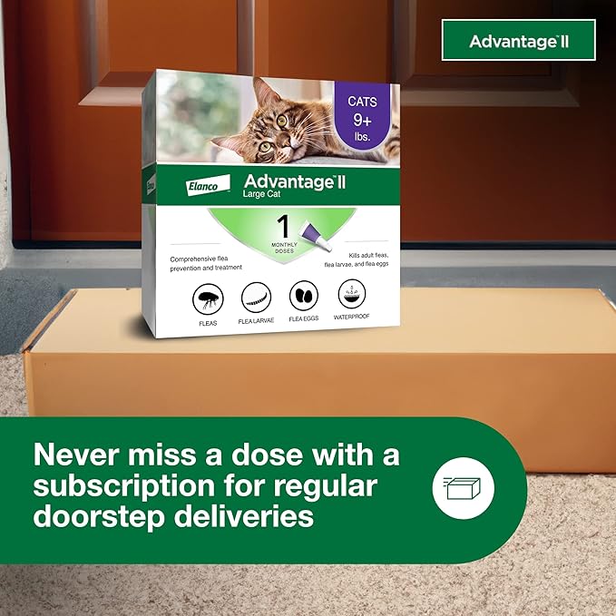 Advantage II Large Cat Vet-Recommended Flea Treatment & Prevention | Cats Over 9 lbs. | 1-Month Supply Advantage