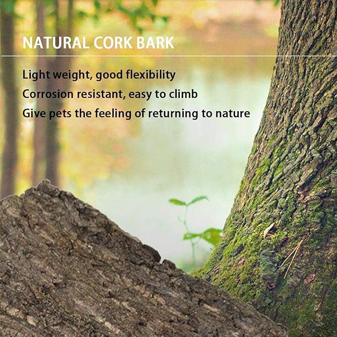 2PCS Cork Terrarium Background 15.7x11.8in Natural Cork Large Bark Backdrop Reptile Climbing Mat Habitat Decor for Spider Lizard Chamelon Turtle Beared Dragon Hamiledyi