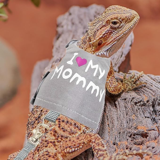 Bearded Dragon Harness and Leash Set - Adjustable Lizard Harness with Glow in The Dark Print Outdoor Traction Rope Walking Leash Reptile Halloween Costume Accessories for Small Pets (Grey) SEZDEKI