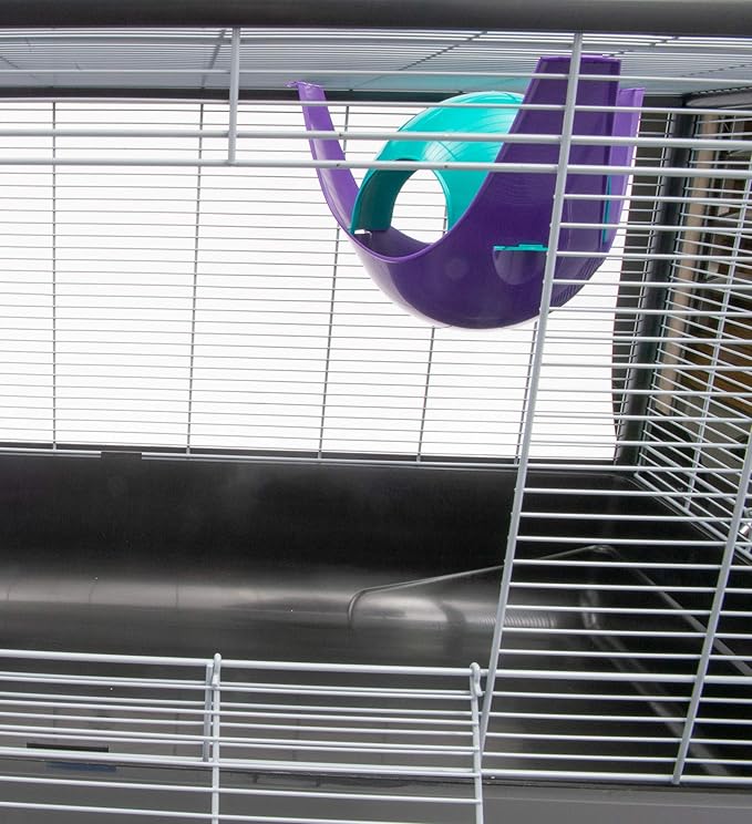 Lixit Igloos and Hideaways for Guinea Pigs, Rats, Mice, Hamsters, Gerbils and Other Small Animals (Assorted, Large Space Pod) Lixit