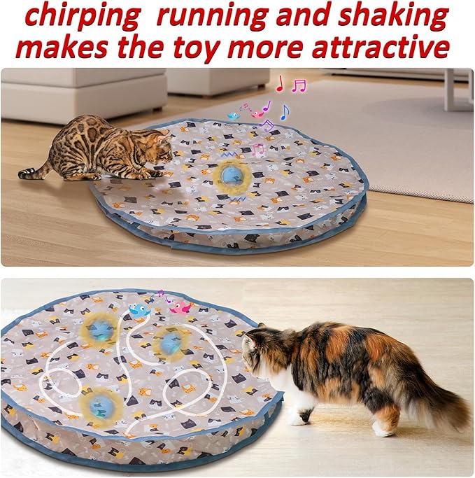 Rechargeable Electric Cat Toys, Hide and Seek Kitten Toy, Chirping & Motion Activated Interactive Cat Toy, Hiding Cover Exercise Toy for Indoor Cats/Kitty/Kittens - PAWPICO