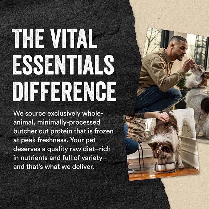 Vital Essentials Freeze Dried Raw Single Ingredient Dog Treats, Minnows, 1 oz - PAWPICO