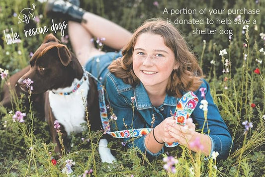 Lucky Love Dog - Easy Click Buckle Dog Collar with Leash Set Combo, Durable & Comfortable Collar for Male & Female Dogs, Pet Collar for Small to Large Dogs, Secure Fit - Ladybird Combo, X-Small LuckyLoveDog