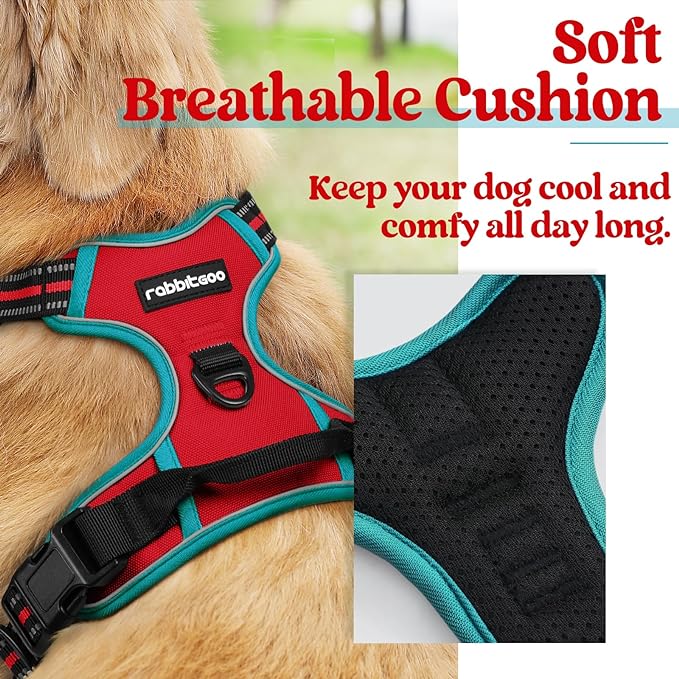 rabbitgoo Dog Harness, No-Pull Pet Harness with 2 Leash Clips, Adjustable Soft Padded Dog Vest, Reflective No-Choke Pet Oxford Vest with Easy Control Handle for Large Dogs, Red & Teal, L - PAWPICO