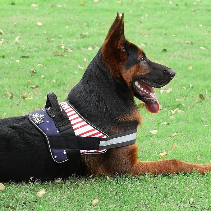 Bolux Dog Harness, No-Pull Reflective Dog Vest, Breathable Adjustable Pet Harness with Handle for Outdoor Walking - No More Pulling, Tugging or Choking (Flag, XX-Large) Bolux