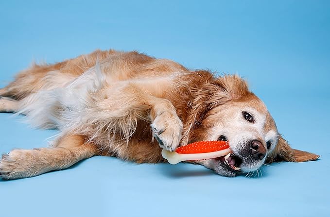 Hartz Chew 'n Clean Tuff Bone Tough Dog Chew Toy, Large 3 Pack - PAWPICO