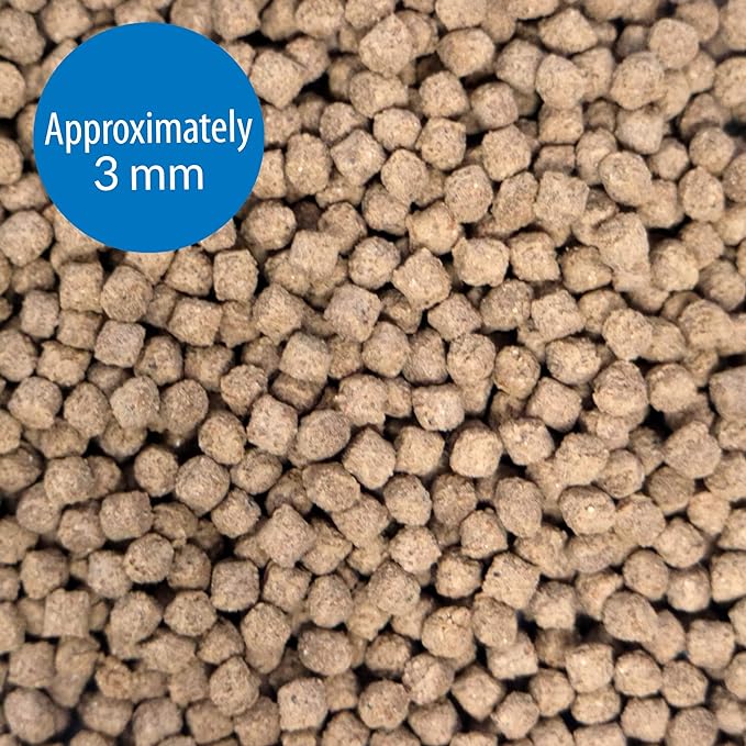 API BOTTOM FEEDER PELLETS WITH SHRIMP Fish Food 1.3-Ounce Container API