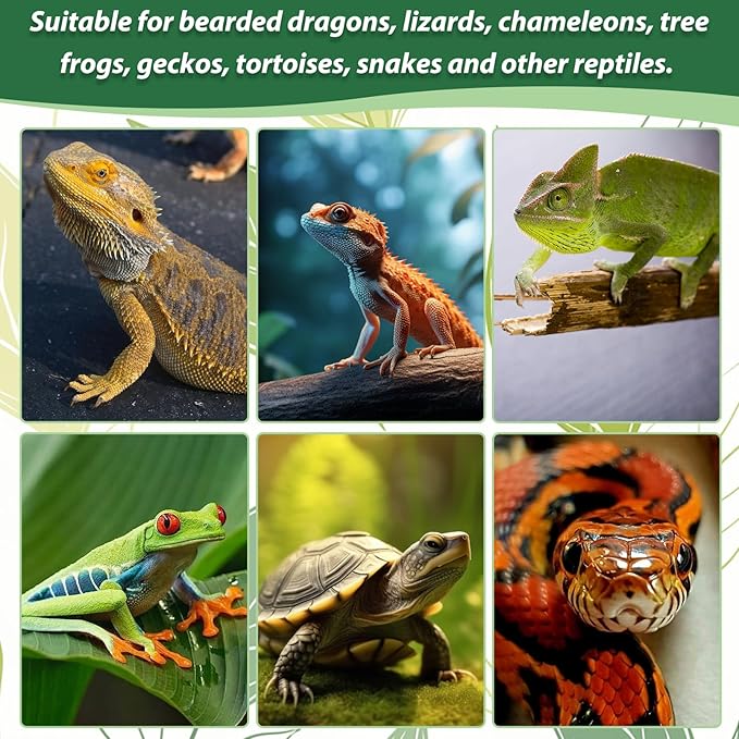 PINVNBY PIVBY Flexible Bend-A-Branch Jungle Vines Pet Habitat Decor Reptile Plants Terrarium for Lizard, Frogs, Snakes and More Reptiles Climbing (Fat: 43.31 x 0.79 Inch) PINVNBY