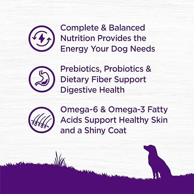 Wellness Complete Health Adult Dry Dog Food, Lamb & Barley Recipe, 26 Pound Bag - PAWPICO