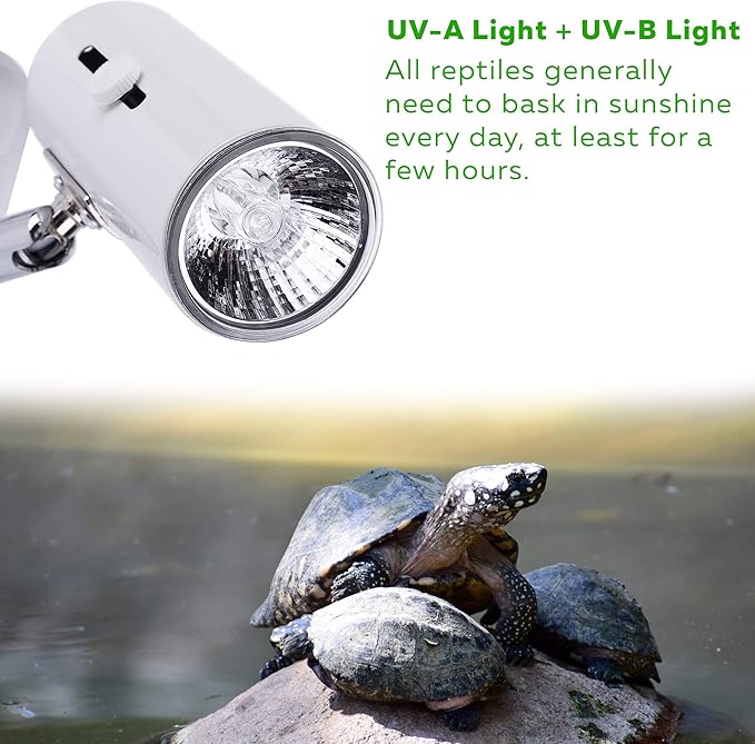 CALPALMY 4-Pack 50W UVA+UVB Bulbs | Heat and Light for Reptiles and Amphibian Tanks, Terrariums and Cages | Works with Various Lamp Fixtures CalPalmy