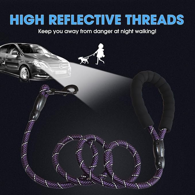 BAAPET 2/4/5/6 FT Dog Leash with Comfortable Padded Handle and Highly Reflective Threads for Small Medium and Large Dogs (5FT-1/2'', Black Purple) - PAWPICO