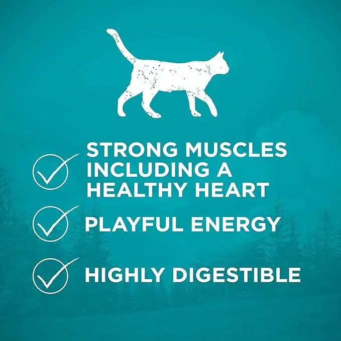 Purina ONE Natural, High Protein, Grain Free Dry Cat Food, True Instinct With Real Chicken - 3.2 lb. Bag - PAWPICO