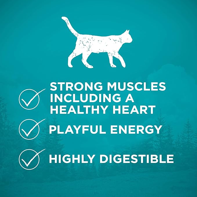 Purina ONE Natural, High Protein, Grain Free Dry Cat Food, True Instinct With Real Chicken - 3.2 lb. Bag - PAWPICO