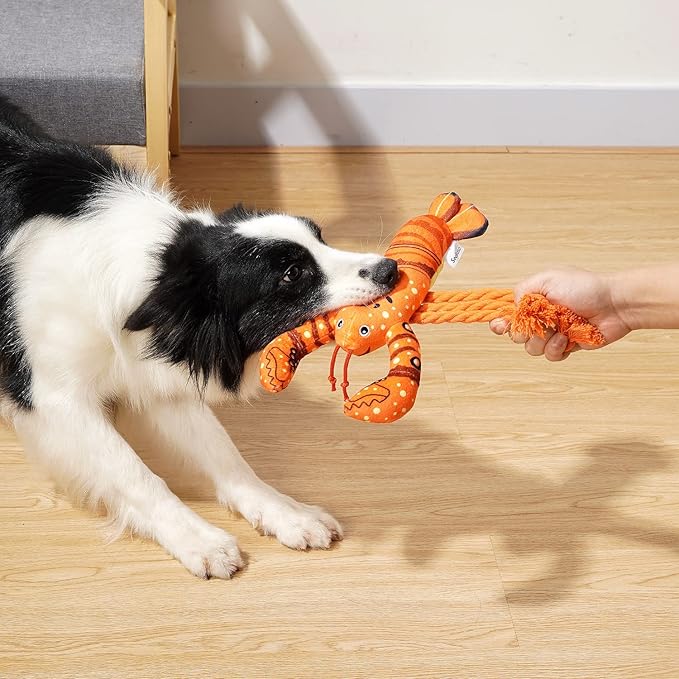Sedioso Dog Toys, Dog Plush Toy for Large Breed, Cute Squeaky Dog Toys with Crinkle Paper, Dog Chew Toys for Puppy, Small, Middle, Big Dogs (Lobster) - PAWPICO