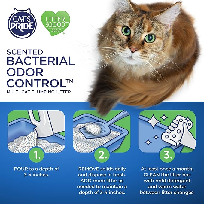 Cat's Pride Max Power: Bacterial Odor Control - Up to 10 Days of Powerful Odor Control - Strong Clumping - 99% Dust Free - Multi-Cat Litter, Fresh Scented, 15 Pounds - PAWPICO
