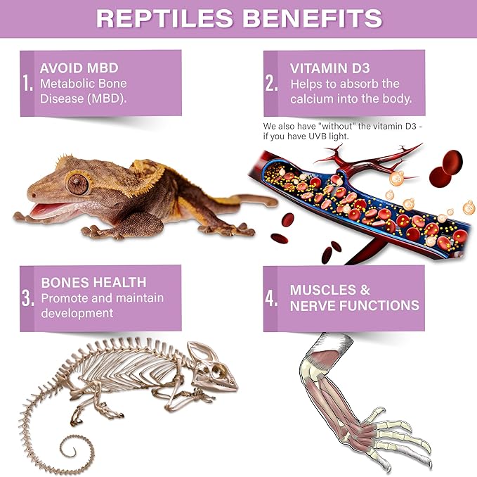 4oz Gecko Calcium without Vitamin D3, Phosphorus-free, Ultrafine Powder. Ready to Use Supplement for Geckos & Fruit-Eating Reptiles. Flavored with Real Organic Tropical Fruits. Made in the USA Gargeer