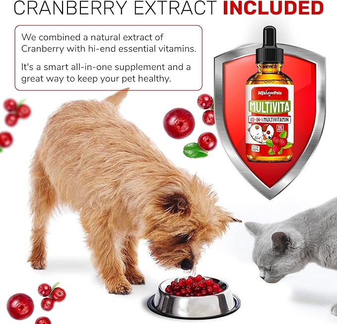 ะกat Vitamins for Indoor Cats in Drops โ Liquid Multivitamin for Dogs โ Dog Multivitamin Liquid Supplement โ Cat Multivitamin โ Multivitamin for Dogs โ Vitamin C for Cats โ 2 oz AlfaLovePets