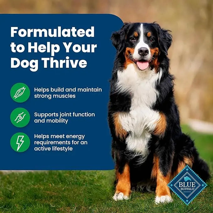Blue Buffalo Life Protection Formula Adult Dry Dog Food, Helps Build and Maintain Strong Muscles, Made with Natural Ingredients, Lamb & Brown Rice Recipe, 30-lb. Bag - PAWPICO