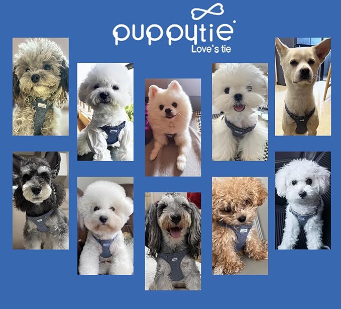 Puppytie No Pull Dog Harness with Multifunction Dog Leash,Soft Adjustable No Choke Escape Proof Pet Harness Vest for Medium Dogs,Denim Light Blue,M Puppytie