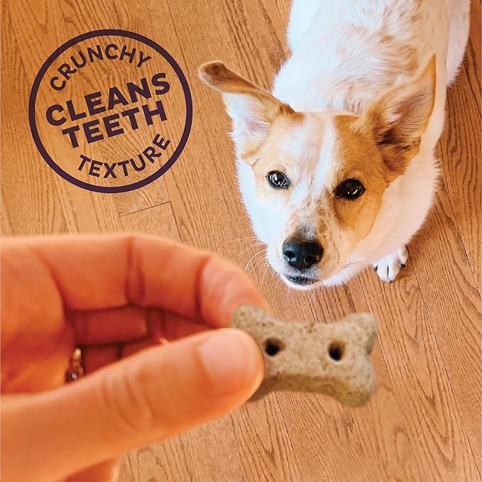 Wellness Old Mother Hubbard Classic Chick'N'Apples Natural Dog Treats, Crunchy Oven-Baked Biscuits, Ideal for Training, Mini Size, 20 ounce bag - PAWPICO