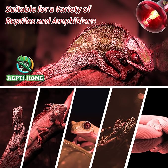 Reptile Heat Lamp Bulbs, Infrared 75W Reptiles & Amphibians Basking Spot Lamp Bulb-2 PCS, Red Heat Emitter Light for Chickens Coop REPTIHOME