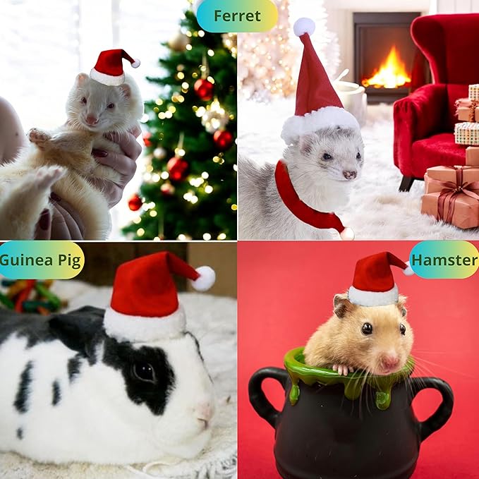 Ferret Hat and Adjustable Scarf Set, Small Christmas Hats for Pets Cute Collar for Ferrets Chinchilla Squirrel Bunny Rabbit Kitten, Guinea Pig Christmas Outfit, Ferret Accessories Costume (Christmas) HomedyCrafts