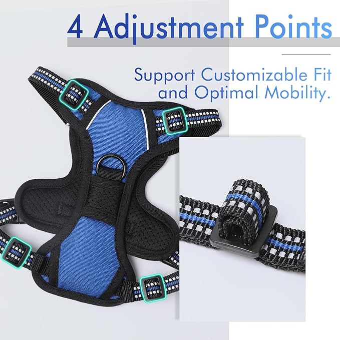 rabbitgoo Dog Harness, No-Pull Pet Harness with 2 Leash Clips, Adjustable Soft Padded Dog Vest, Reflective No-Choke Pet Oxford Vest with Easy Control Handle for Small Dogs, Dazzling Blue,XS - PAWPICO