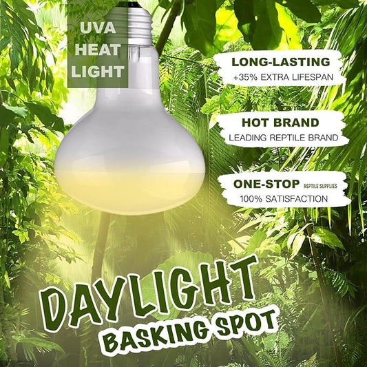 Reptile Heat Bulb Lamp, 150W 2-Pack Daylight Basking Spot, Bearded Dragon/Turtle/Lzard/Gecko Light Bulb, UVA Heat Lamp, Basking Light for Reptiles ReptiKing
