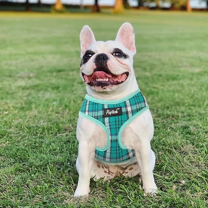 PUPTECK Soft Mesh Dog Harness and Leash Set Pet Puppy Cat Comfort Padded Vest No Pull Harnesses, Green, XS PUPTECK