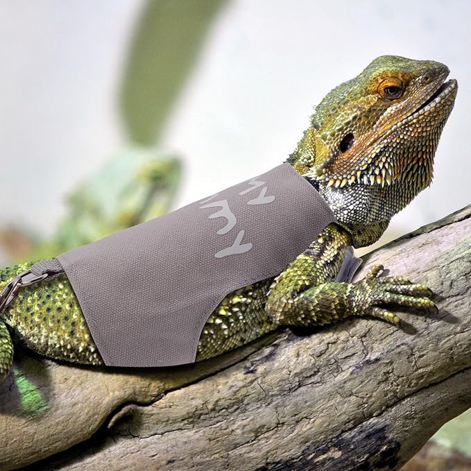 Bearded Dragon Leash and Harness Set, Cute Adjustable Lizard Reptile Harness Costume Clothes with Short Leash for Small Pets Animal Amphibians Chameleons Accessories Outdoor Walking (Style A, Gray) PAWPICO