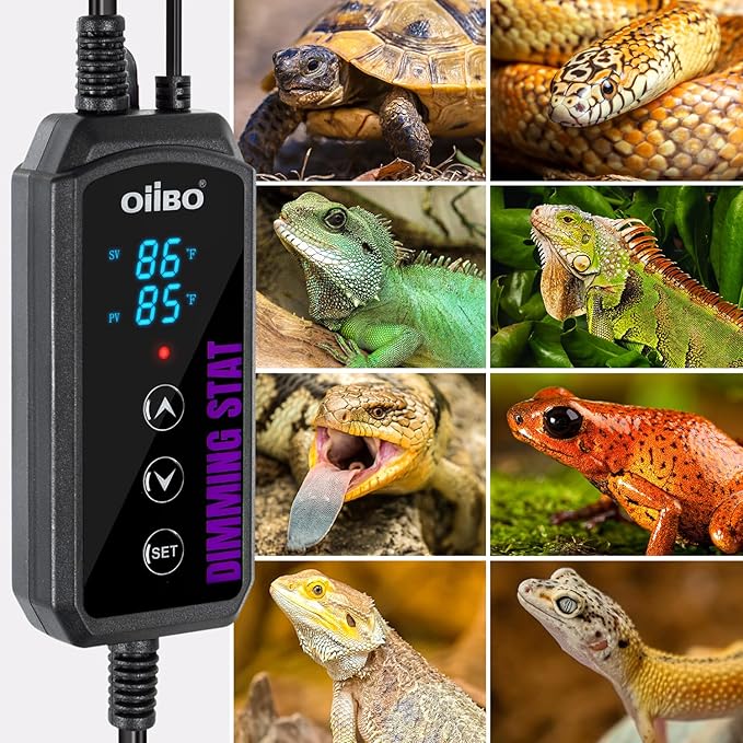 Oiibo Digital Heat Mat Thermostat, PID Reptile Heat Lamp Dimming Thermostat Heating Pad Temperature Controller for for Aquarium Reptiles and Seedling, Breeding, Hatching OIIBO