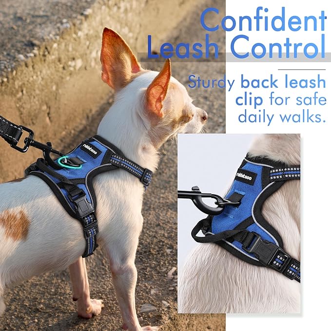 rabbitgoo Dog Harness, No-Pull Pet Harness with 2 Leash Clips, Adjustable Soft Padded Dog Vest, Reflective No-Choke Pet Oxford Vest with Easy Control Handle for Small Dogs, Dazzling Blue,XS - PAWPICO