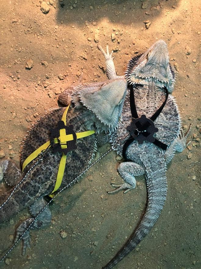 2 Pack Adjustable Reptile Harness and Leash for Lizard Gecko Bearded Dragon Outside Walk (Black) Wontee