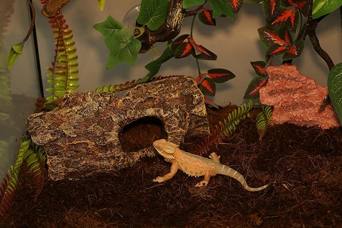 AQUA KT Reptile Natural Coconut Fiber Substrate Bedding Coco Coir Brick for Lizard Hermit Crab Snake Frog Spider Gecko Terrarium Bedding AQUAKT