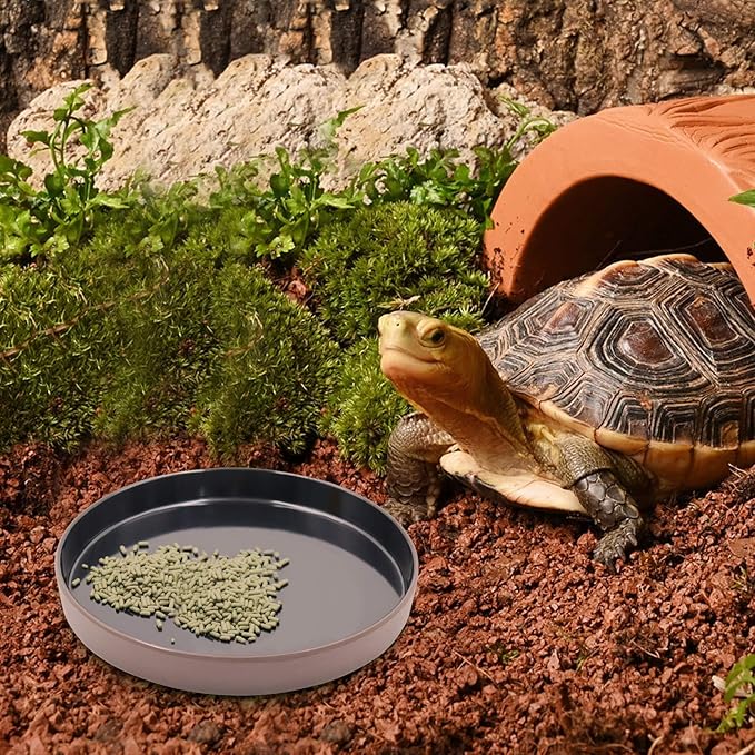 Reptile Feeder Kit, Food Water Bowl, Plastic Round Tortoise Feeding Dish, Amphibian Feeding Bowl, Tank Terrarium Accessories for Bearded Dragon Snake Hermit Crab Turtle Lizard Chameleon - 8 × 8 × 1" Neeenn