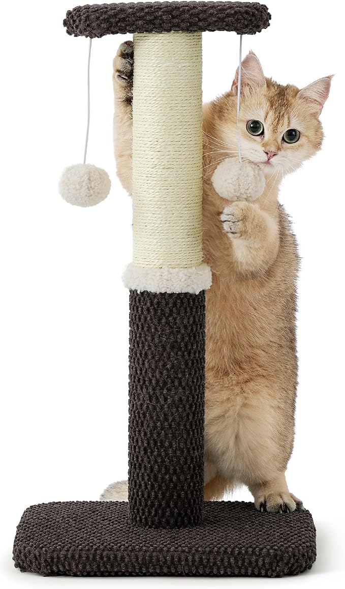 Lesure Cat Scratching Post for Indoor Cats - Highly Resistant Carpet Scratch Posts, Premium Sisal Rope Scratch Posts for Kittens, Sturdy Small Cat Scratch Pole with Hanging Ball, Brown(22.5 inch) - PAWPICO